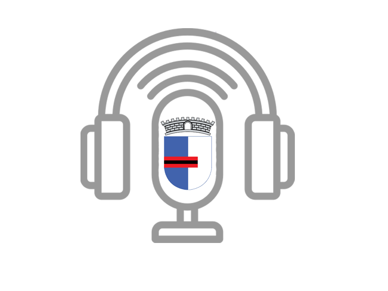 IAM AI PODCAST- The status reports on local government in Albania